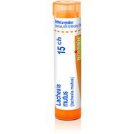 Lachesis Mutus 15CH granules 4 g - Homeopathic Remedies