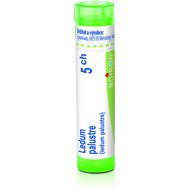 Ledum Palustre 5CH granules 4 g - Homeopathic Remedies