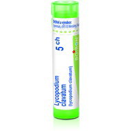 Lycopodium Clavatum 5CH granules 4 g - Homeopathic Remedies