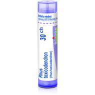 Rhus Toxicodendron 30CH granules 4 g - Homeopathic Remedies
