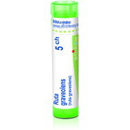 Ruta Graveolens 5CH granules 4 g - Homeopathic Remedies