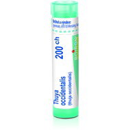 Thuya Occidentalis 200CH granules 4 g - Homeopathic Remedies