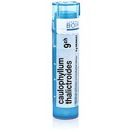 Caulophyllum thalictroides 9CH granules 4 g - Homeopathic Remedies