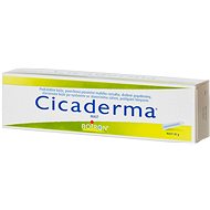 Cicaderma ointment 30 g - Homeopathic Remedies