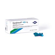 Condrosulf 400 60 hard capsules - Medicinal Product