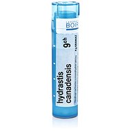Hydrastis Canadensis 9CH granules 4 g - Homeopathic Remedies
