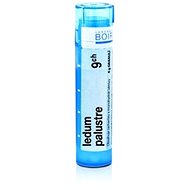 Ledum Palustre 9CH granules 4 g - Homeopathic Remedies