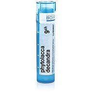 Phytolacca Decandra 9CH granules 4 g - Homeopathic Remedies