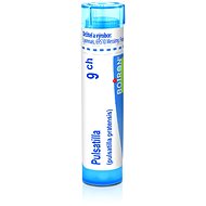 Pulsatilla 9CH granules 4 g - Homeopathic Remedies