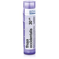 Thuya Occidentalis 30CH granules 4 g - Homeopathic Remedies