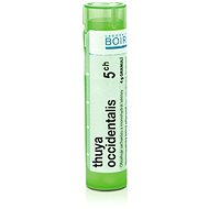 Thuya Occidentalis 5CH granules 4 g - Homeopathic Remedies