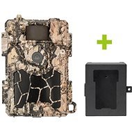 OXE Spider 4G and metal box + 32GB SD card, SIM, tripod and 8 batteries FREE! - Camera Trap
