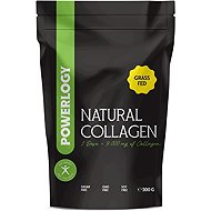 Powerlogy Natural Collagen 300 g - Colagen