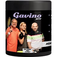 Gavino AKTIV MSM 700 - Joint Nutrition