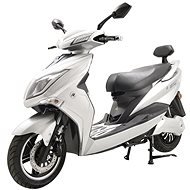 RACCEWAY EXTREME silver - Electric Scooter