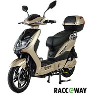 Racceway E-Fichtl, Light Gold-Glossy - Electric Moped
