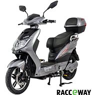 Racceway E-Fichtl, Grey-Glossy - Electric Moped