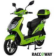 Racceway E-Fichtl, Light Green-Metallic - Electric Moped