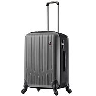 Travel Suitcase MIA TORO M1301/3-M - Silver - Suitcase