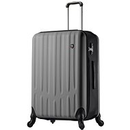 Travel Suitcase MIA TORO M1301/3-L - Silver - Suitcase