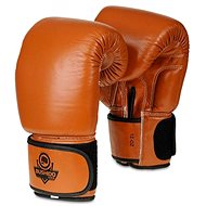 DBX BUSHIDO DBD-B-1 brown - Boxing Gloves
