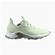 Salomon Alphacross 3 GTX W Spray/Wht/Wroug - Trekking Shoes