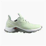 Salomon Alphacross 3 GTX W Spray/Wht/Wroug EU 42 / 260 mm - Trekking Shoes
