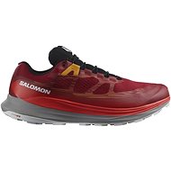 Salomon Ultra Glide 2 GTX Bird/Frstgy/Turm EU 46 2/3 / 295 mm - Trekking Shoes