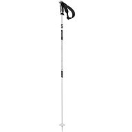 Salomon Shiva, White, size 110cm - Ski Poles