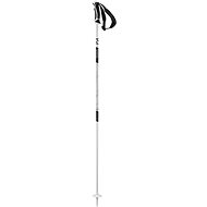 Salomon Shiva, White - Ski Poles
