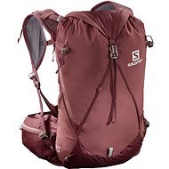 Salomon OUT DAY, 20+4 W, Apple Butter/Brick Dust - Tourist Backpack