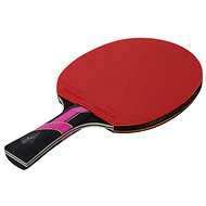 Sedco Legend S03 + balls and case - Table Tennis Set