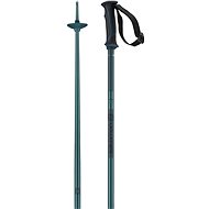 Salomon POLES ARCTIC, BLUE - Ski Poles
