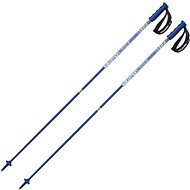 Salomon X 10 S3 Black Blue - Ski Poles