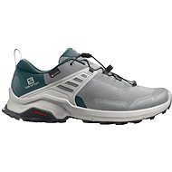 Salomon X RAISE GTX gray / blue EU 43.33 / 270 mm - Trekking Shoes