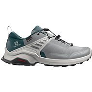 Salomon X RAISE GTX gray / blue EU 44.67 / 280 mm - Trekking Shoes