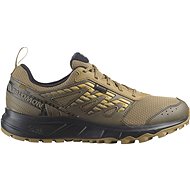 Salomon Wander GTX Antbro/Cantee/Sthmos - Trekking Shoes