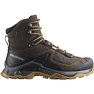 Salomon Quest Element GTX Delicioso/Black/Dull Gold - Trekking Shoes