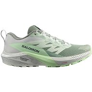 Salomon Sense Ride 5 W Lily Pad/Metal/Green Ash EU 39 1/3 / 240 mm - Running Shoes