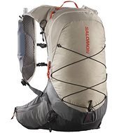 Salomon XT 15 Set Feather Gray/Plum Kitten/Cherry Tomato - Tourist Backpack