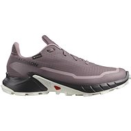 Salomon Alphacross 5 GTX W Mnscap/Black/Wh EU 38 2/3 / 235 mm - Running Shoes