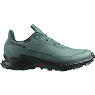 Salomon Alphacross 5 GTX Noat/Black/Sea Mo EU 44 2/3 / 280 mm - Running Shoes