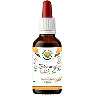 Salvia Paradise 6-Year-Old Korean Ginseng AF Tincture BIO 50ml - Ginseng