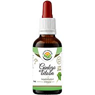 Salvia Paradise Ginkgo Biloba AF Tincture 50ml - Ginkgo Biloba