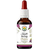 Salvia Paradise Valerian AF Tincture 50ml - Herbal Drops
