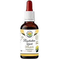Salvia Paradise Rosenwurz Rhodiola AF Tinktur 50 ml - Rosenwurz