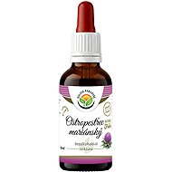 Salvia Paradise Milk Thistle AF Tincture 50ml - Milk Thistle