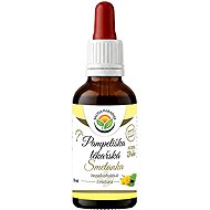 Salvia Paradise Dandelion AF Tincture 50ml - Herbal Drops
