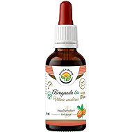 Salvia Paradise Ashwagandha Tincture BIO 50ml - Ashwagandha