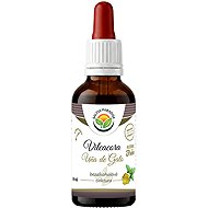 Salvia Paradise Vilcacora Uña de Gato AF Tincture 50ml - Herbal Drops